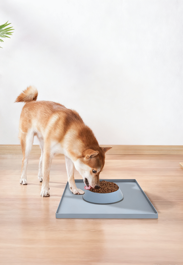 Pet Feeding Silicone Mat: The Ultimate Solution for Clean and Hygienic Pet Feeding