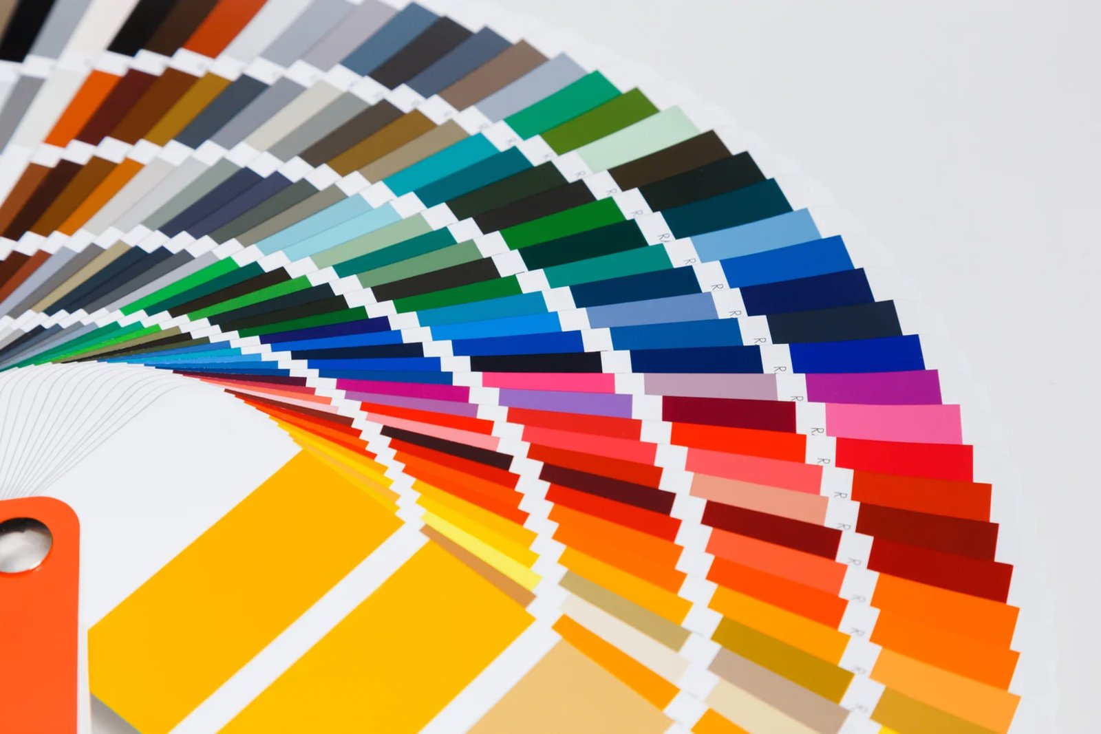 Color guide on a white background